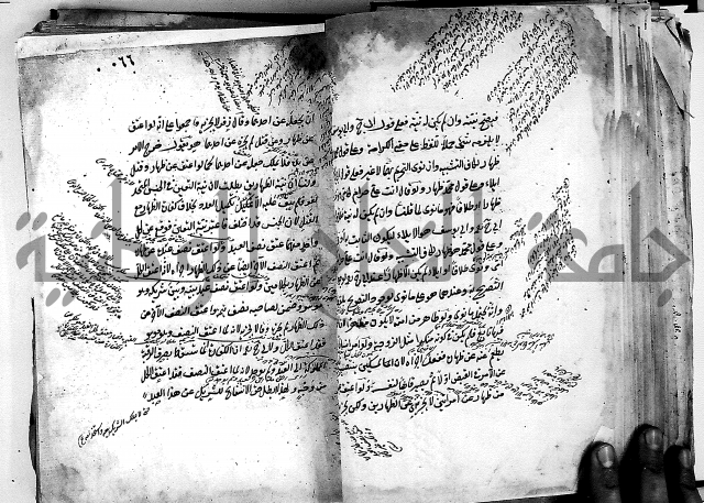 مذهب ابي حنيفة في الفقة