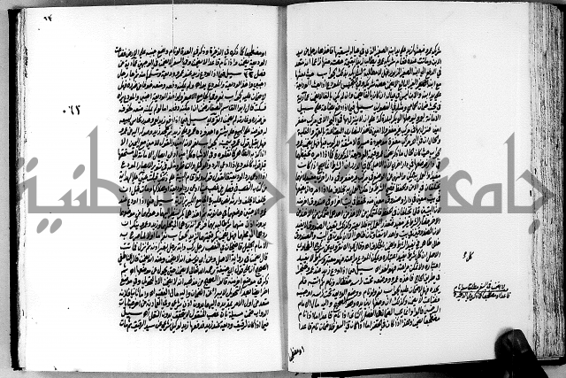 الجواهر الدورية في تنقيح الفتاوى الحامدية ج2 