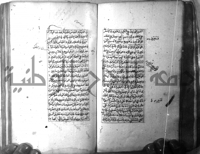 شرح الشافية 