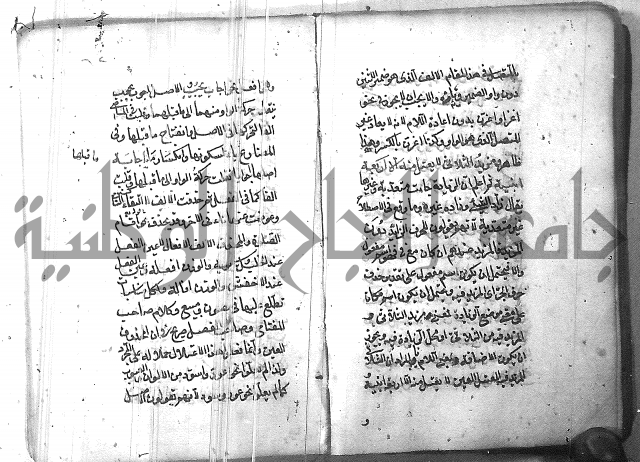 التفنن في الصرف