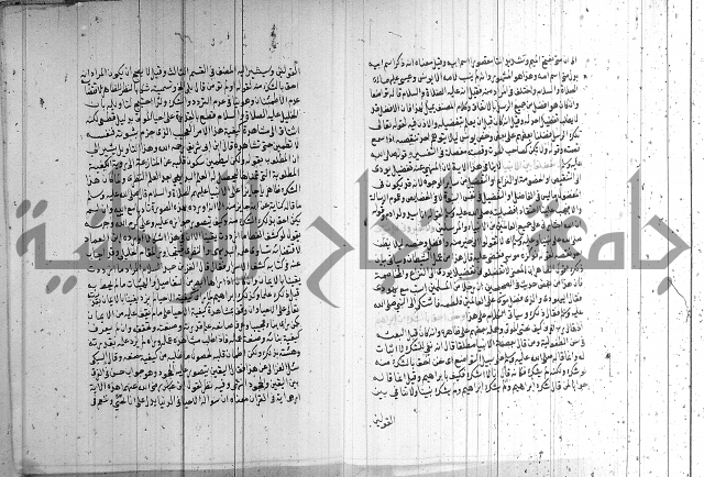 شرح الشهاب على النسفي