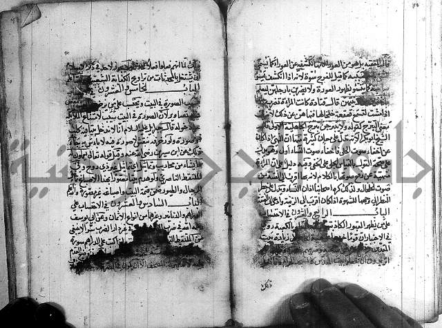 رسالة في الاحتساب