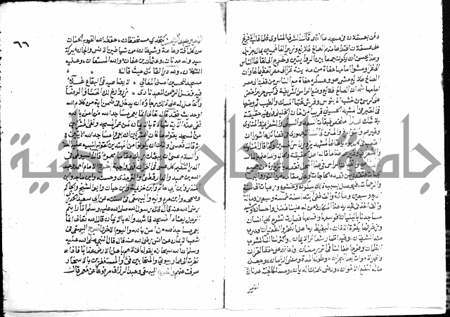 تحفة بن عبد مناف