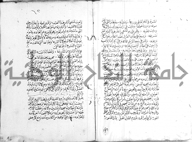 كتاب في الادب 