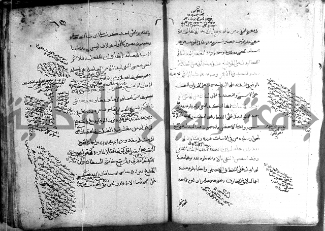 المواشح على الكافية