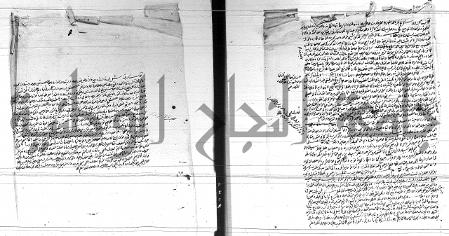 الفتاوى الحسينية