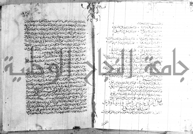 شرح لامية العجم 