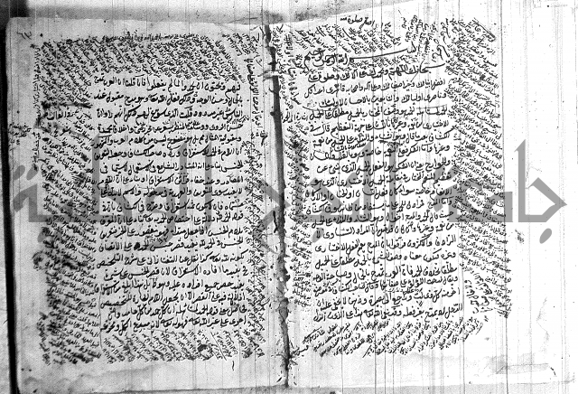 نخبة الفكر  