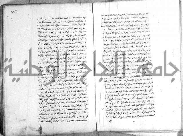 خزانة المفتين