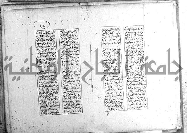 خلاصة التنوير 