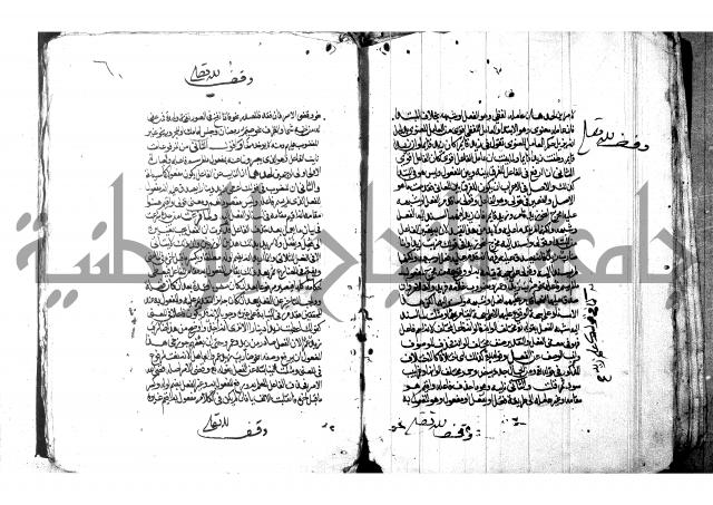 شرح شذور الذهب لابن هشام