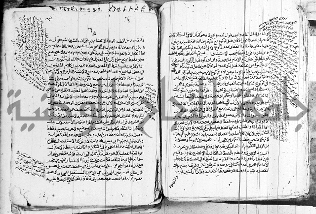 الزيادي على المنهج 