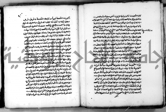 شرح ثلاثيات المسند ج 2 