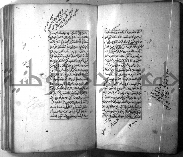 شرح الشافية 