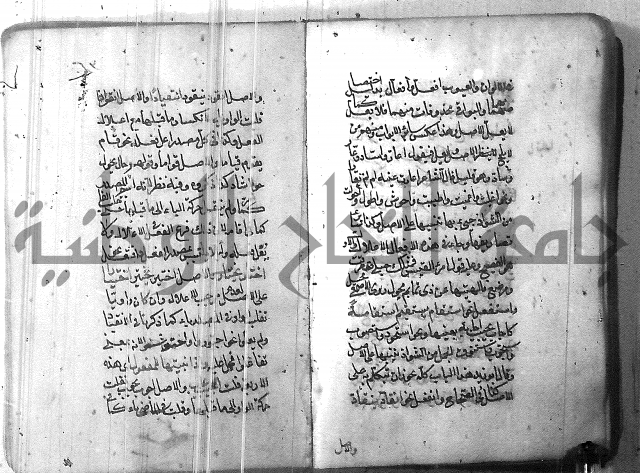 التفنن في الصرف