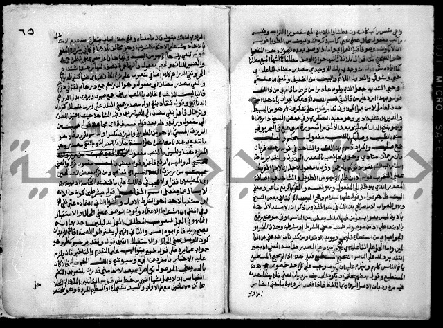 حاشية السجاعي على شرح قطر الندى وبل الصدى لابن هشام