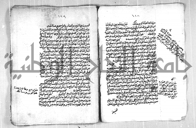 فتح الجليل  على شرح ابن عقيل 