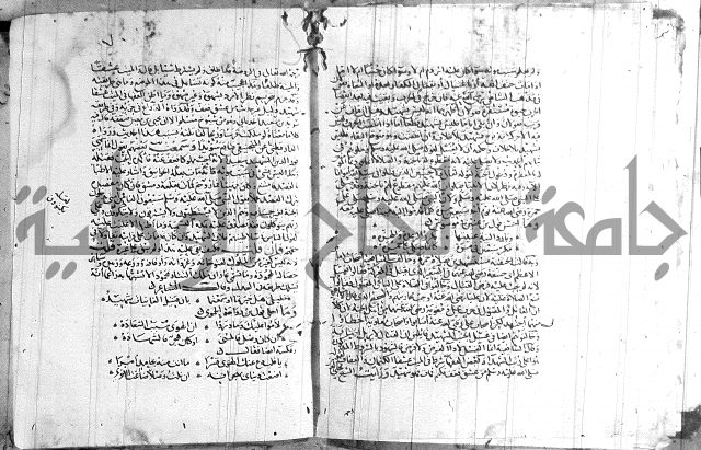 شرح لامية العجم 