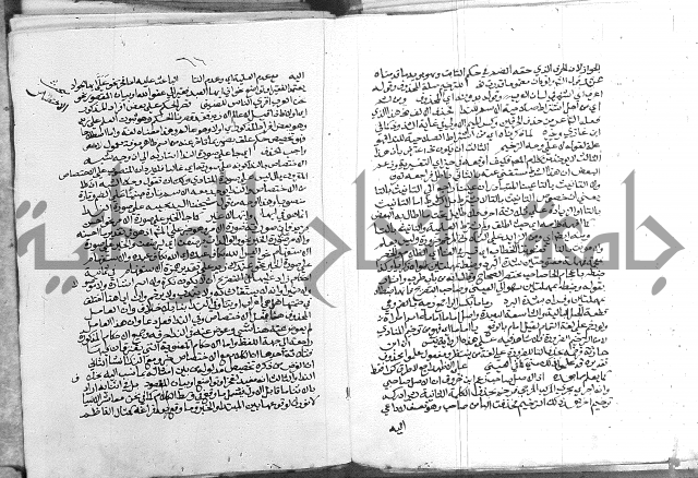 كتاب في اللغة العربية