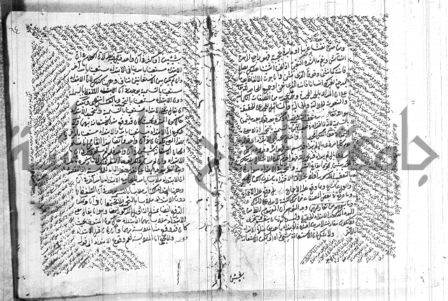 نخبة الفكر  