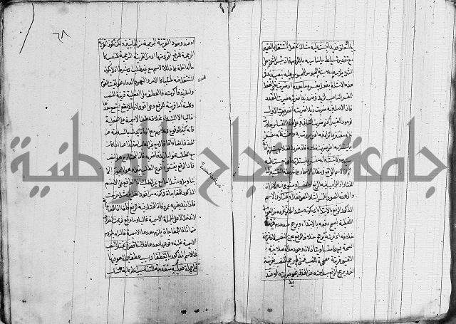 فوائد على الكافية 