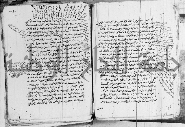 الزيادي على المنهج 