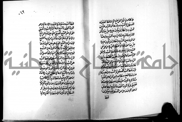 الرسالة البيانية