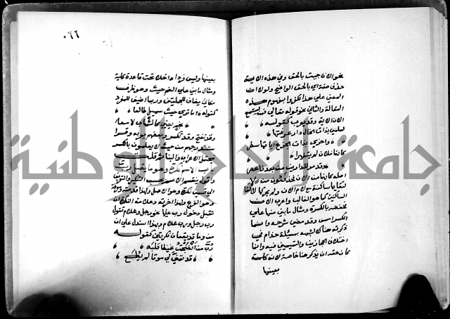 شرح شذور الذهب في معرفة كلام العرب 