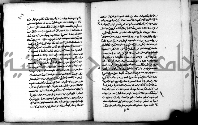 شرح ثلاثيات المسند ج 2 