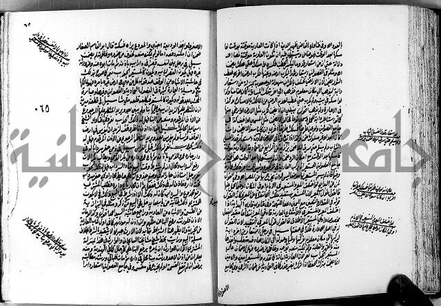 الجواهر الدورية في تنقيح الفتاوى الحامدية ج2 