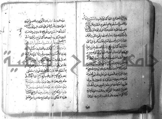 التفنن في الصرف