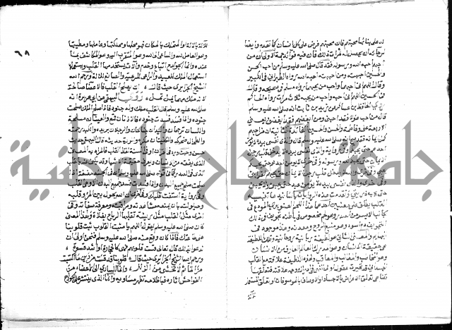 تحفة بن عبد مناف