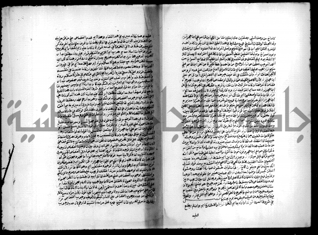 مجهول فقة 55