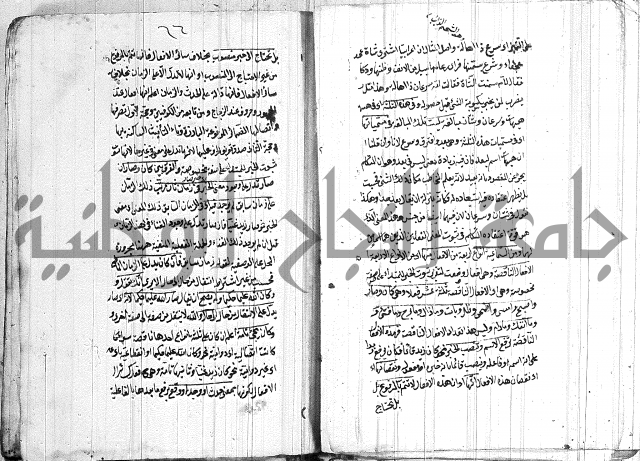 الانتاج المؤلف 