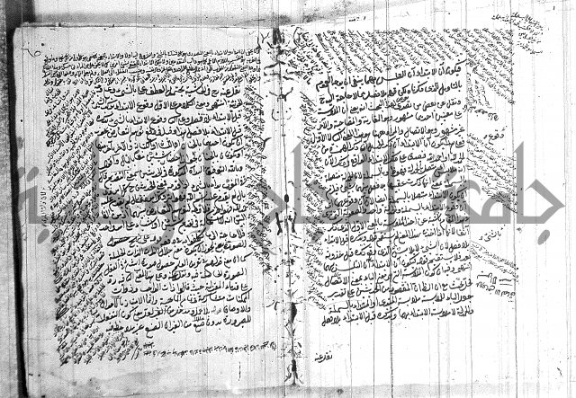 نخبة الفكر  