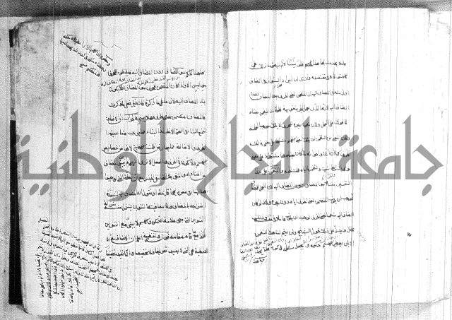 ضوء في علم النحو