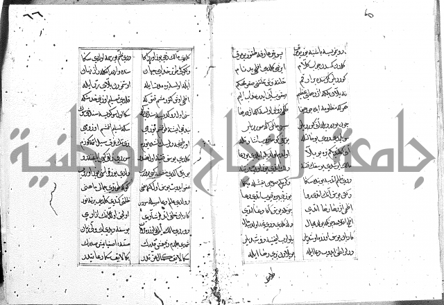 كتاب يوسف زليخا المؤلف 