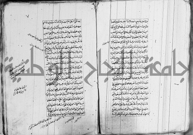 فوائد على الكافية 