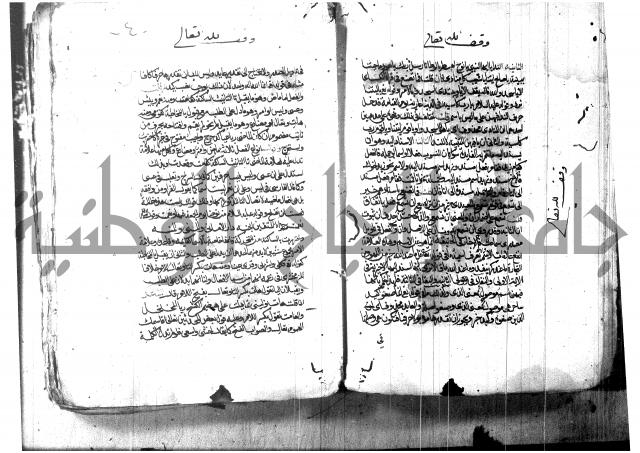 شرح شذور الذهب لابن هشام