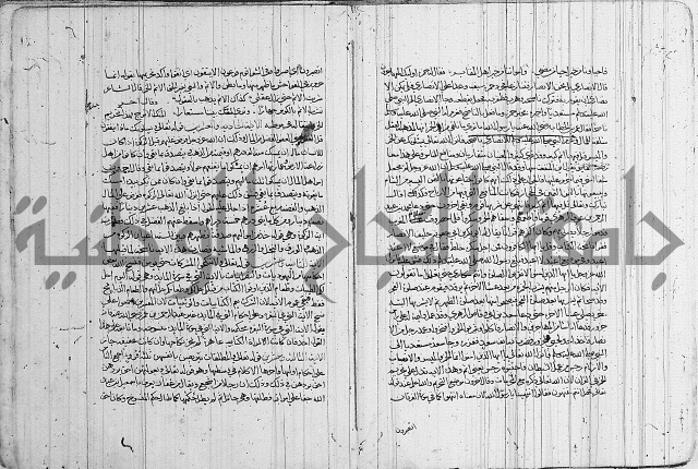 الناسخ والمنسوخ 