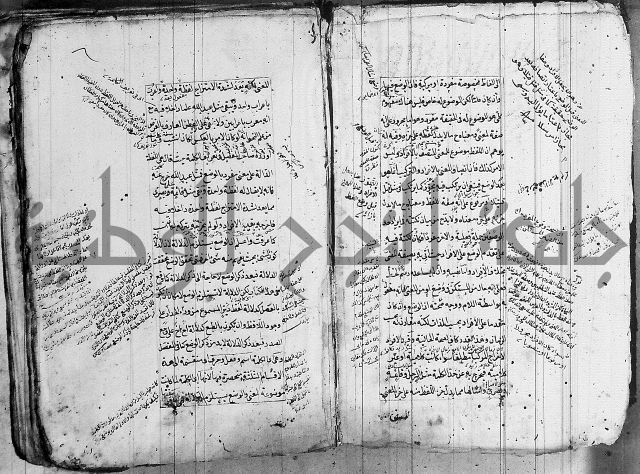 فوائد على الكافية 