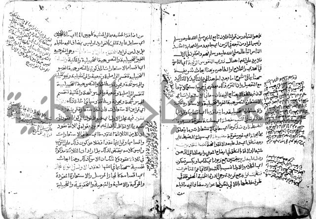 شرح الاستعارة الصغير للملوي