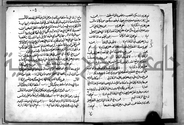 الفتاوى الامينية