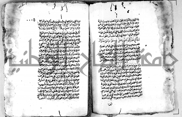 كتاب شرح الألفية للعلامة بن عقيل