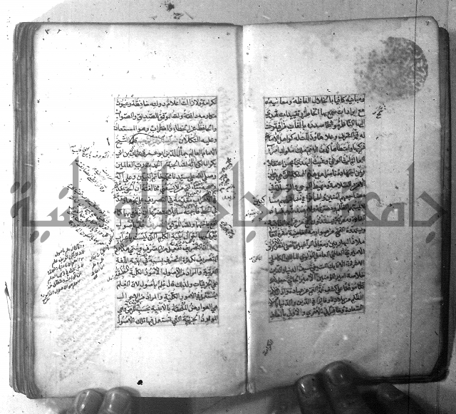 شرح الشافية 