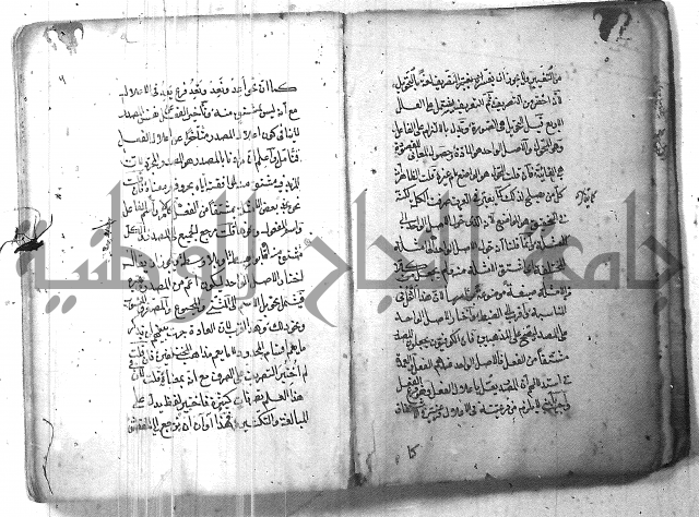 التفنن في الصرف