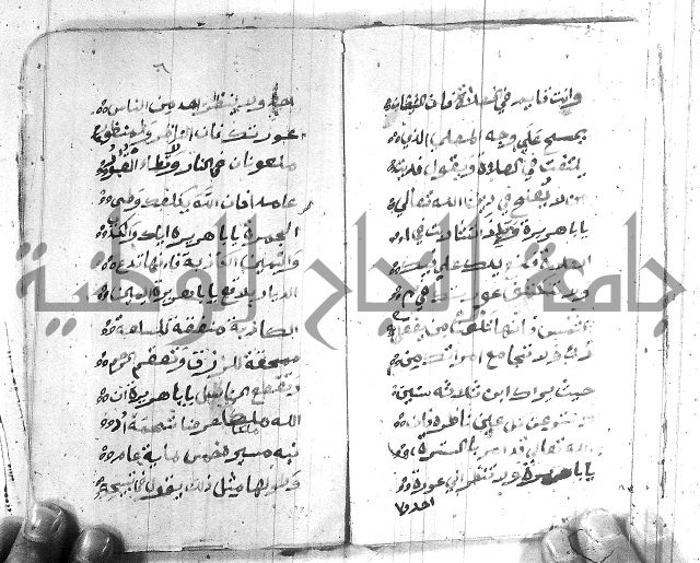 قصة ابي هريرة 