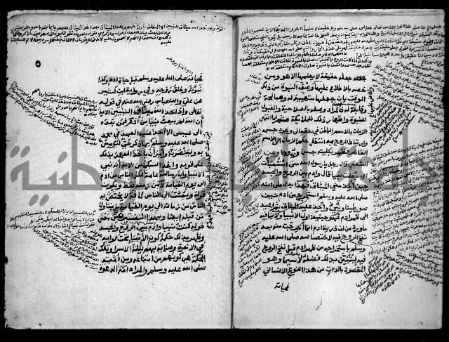مولد النبي 