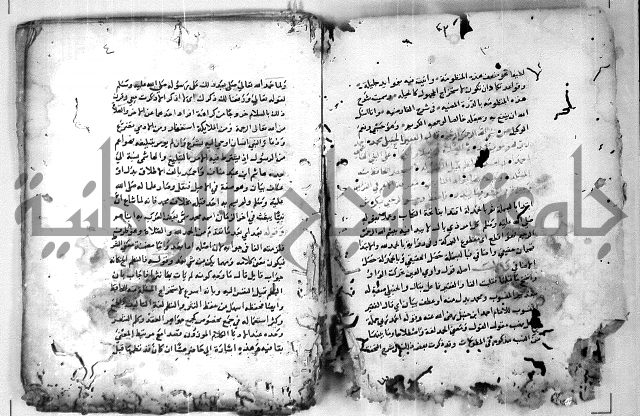 الدرة المعنية في شرح الفارضية 