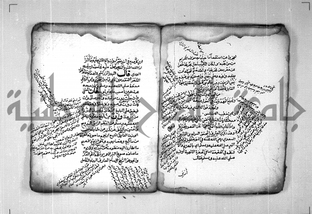 شرح الهمزية  